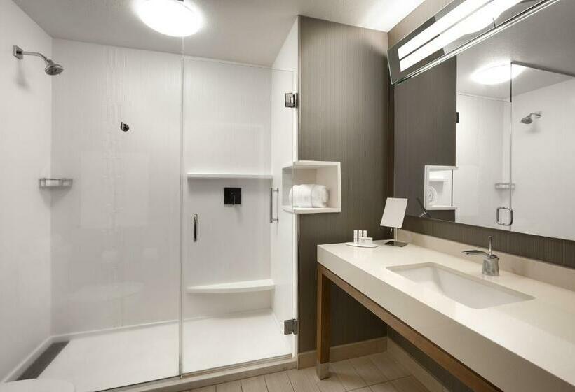 带大床的套房, Courtyard By Marriott Cedar City