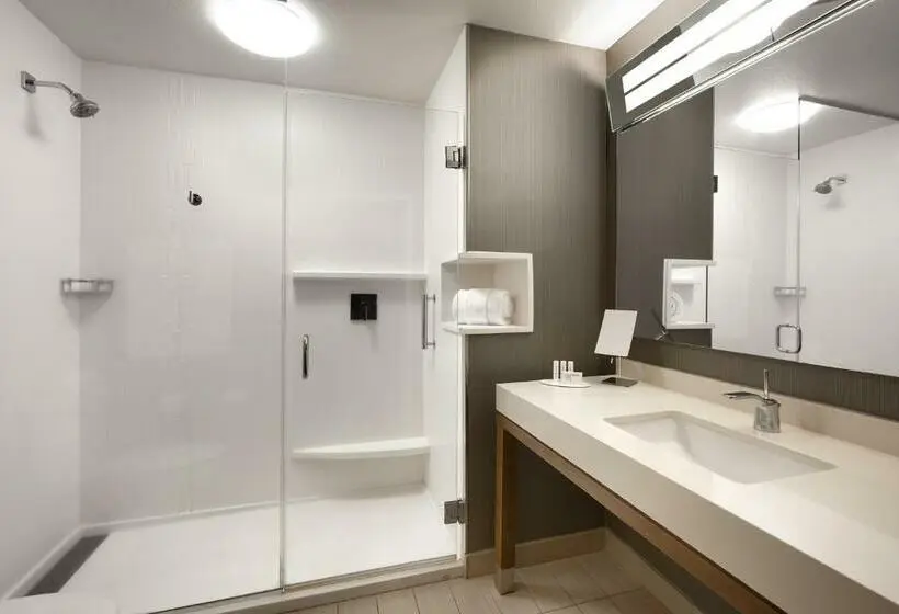 سوئیت با تخت بزرگ, Courtyard By Marriott Cedar City