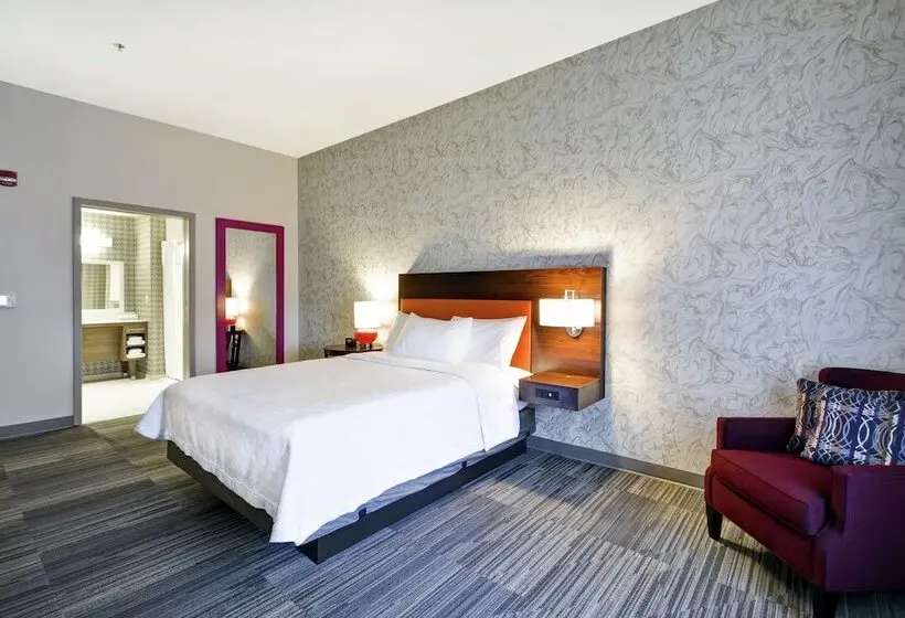 身障者適用スイートルーム, Home2 Suites By Hilton Carbondale