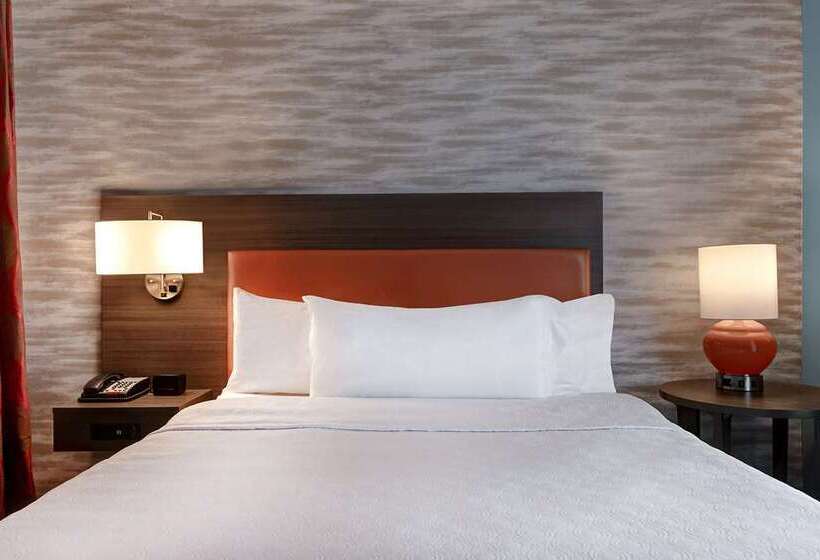 إستوديو قياسى, Home2 Suites By Hilton Carbondale