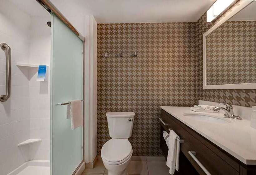 إستوديو قياسى, Home2 Suites By Hilton Carbondale