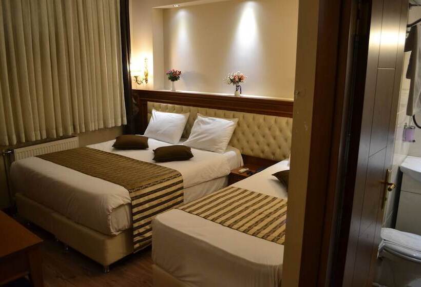 エコノミートリプルルーム, Seven Days Hotel   İstanbul