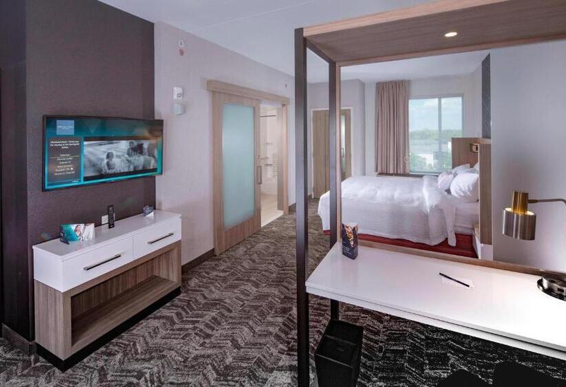 스위트 킹사이즈 침대, Springhill Suites By Marriott Newark Downtown