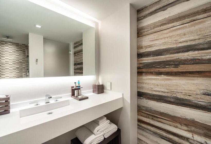 اتاق استاندارد با تخت بزرگ, The Row Hotel At Assembly Row, Autograph Collection