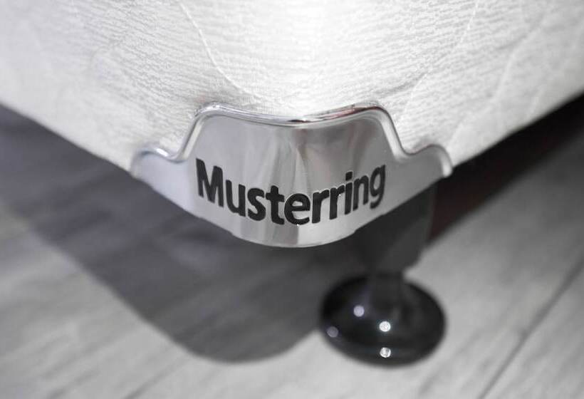 اتاق لوکس, Ox Suites