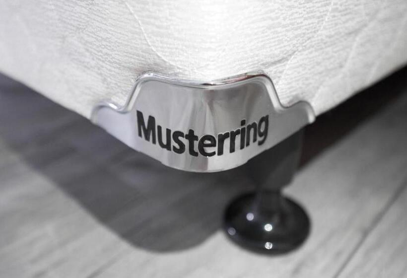 اتاق استاندارد, Ox Suites