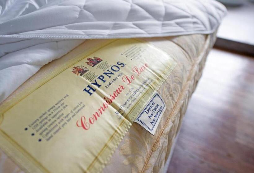 اتاق پرمیوم, Ox Suites