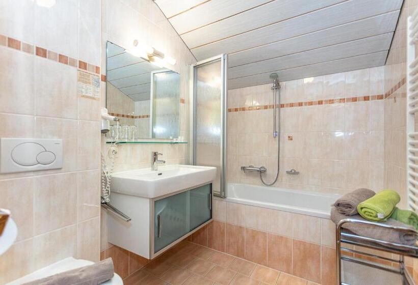 חדר סטנדרט, Pension Lackenbauer