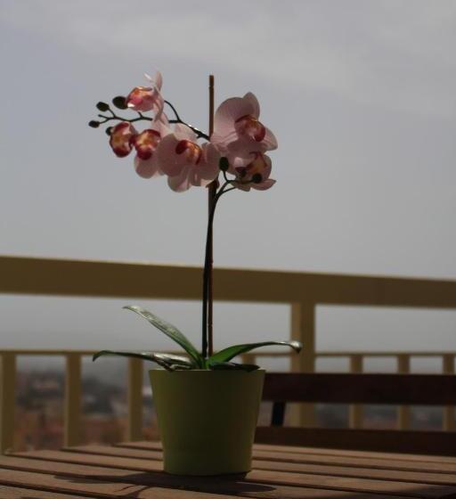 Полулюкс с Балконом, L Alba Sui Templi