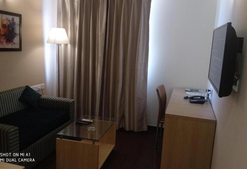 豪华套房, Starlit Suites Neemrana