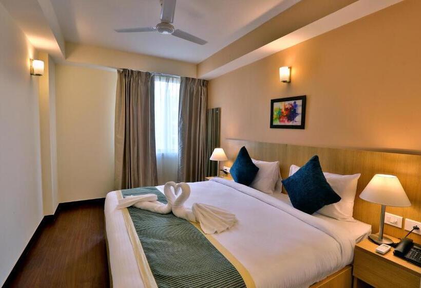 豪华套房, Starlit Suites Neemrana