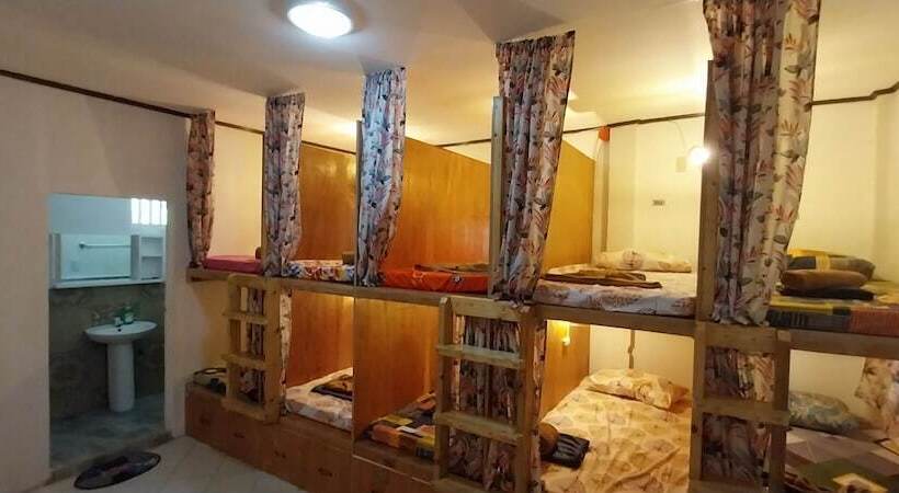 تختخواب در اتاق مشترک, The Sharks Tail Dive Center