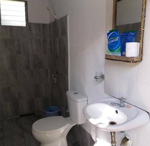 اتاق استاندارد با سرویس بهداشتی مشترک, The Sharks Tail Dive Center