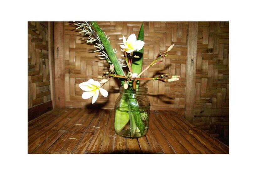 اتاق استاندارد با سرویس بهداشتی مشترک, The Sharks Tail Dive Center