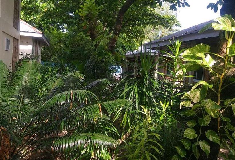 اتاق استاندارد با سرویس بهداشتی مشترک, The Sharks Tail Dive Center