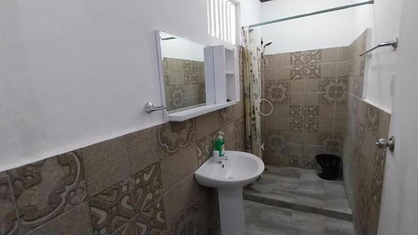 تختخواب در اتاق مشترک, The Sharks Tail Dive Center