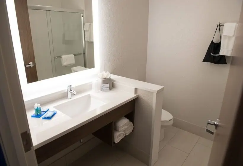 身障者適用スイートルーム, Holiday Inn Express & Suites   Merrillville, An Ihg
