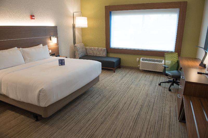 غرفة قياسية سرير كينج لذوى الإحتياجات الخاصة, Holiday Inn Express & Suites   Merrillville, An Ihg