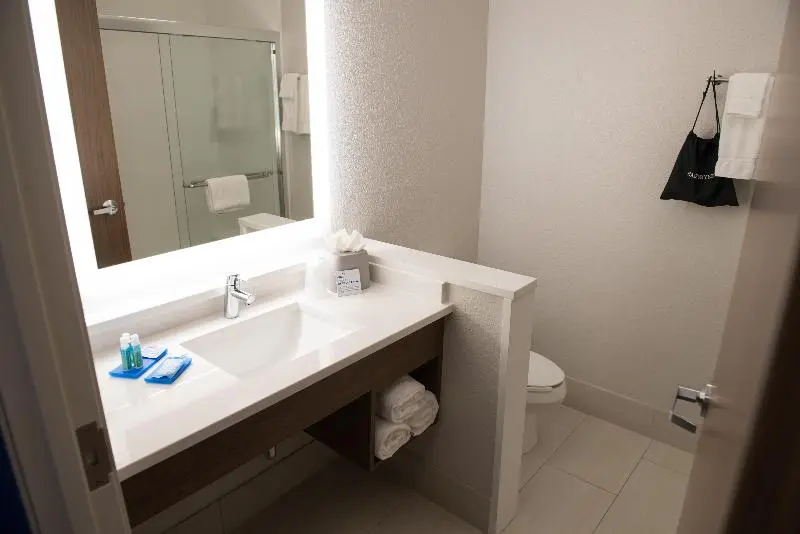 キングサイズベッドのスイートルーム, Holiday Inn Express & Suites   Merrillville, An Ihg