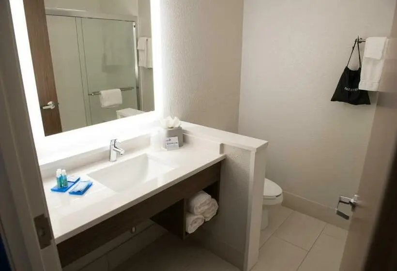 スタンダードルーム, Holiday Inn Express & Suites   Merrillville, An Ihg