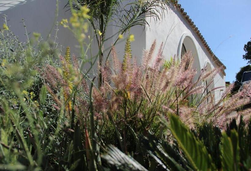 דירת חדר, Molino De Saladilla