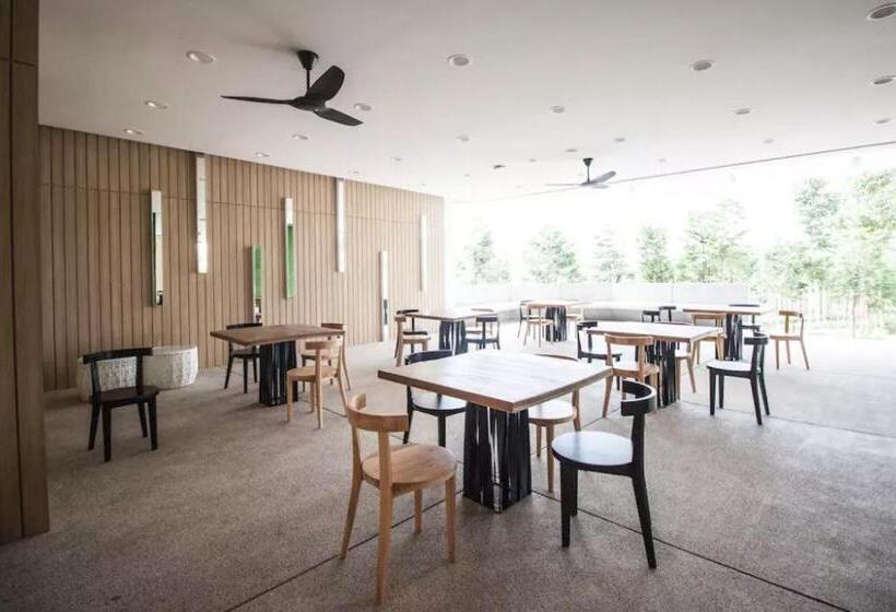 خانه 1 خوابه, The Robertson Residence