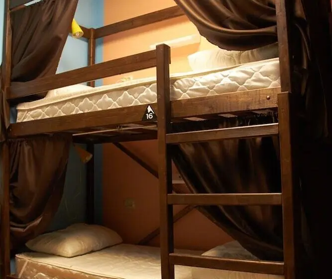 تختخواب در اتاق مشترک, Tvoy Hostel