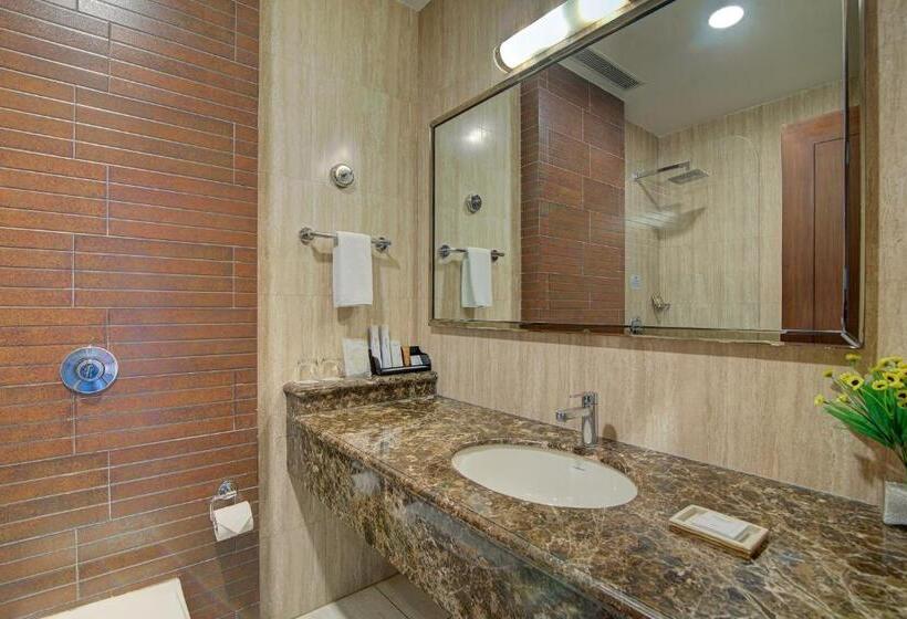 חדר משפתחתי סופריור, Home In By Amrik Sukhdev