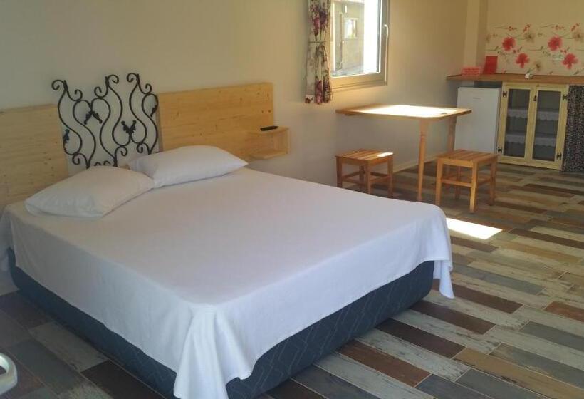 اتاق لوکس با تخت بزرگ, La Vida Otel