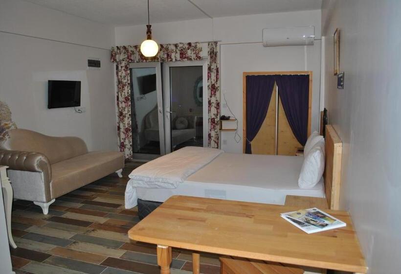 اتاق لوکس با تخت بزرگ, La Vida Otel