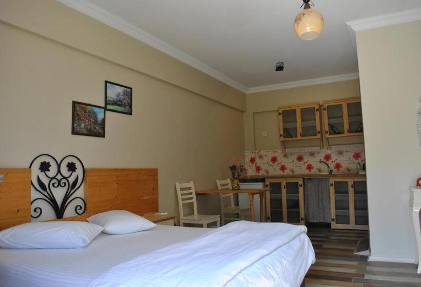 اتاق لوکس با تخت بزرگ, La Vida Otel