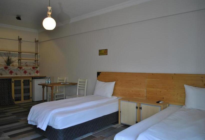 اتاق لوکس, La Vida Otel