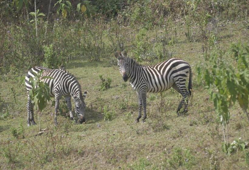 اتاق خانوادگی, Lake Bunyonyi Eco Resort