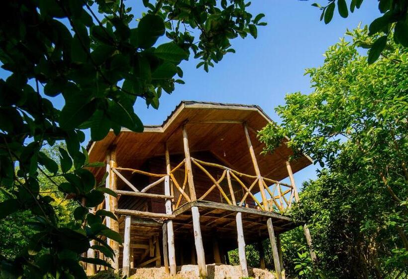 اتاق اکونومی, Lake Bunyonyi Eco Resort