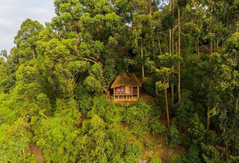 اتاق استاندارد, Lake Bunyonyi Eco Resort