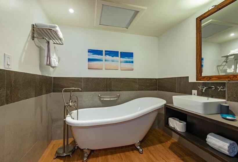 Номер Стандарт Боковой Вид на Море, Palau Central