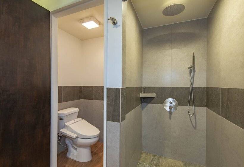 Номер Стандарт, Palau Central