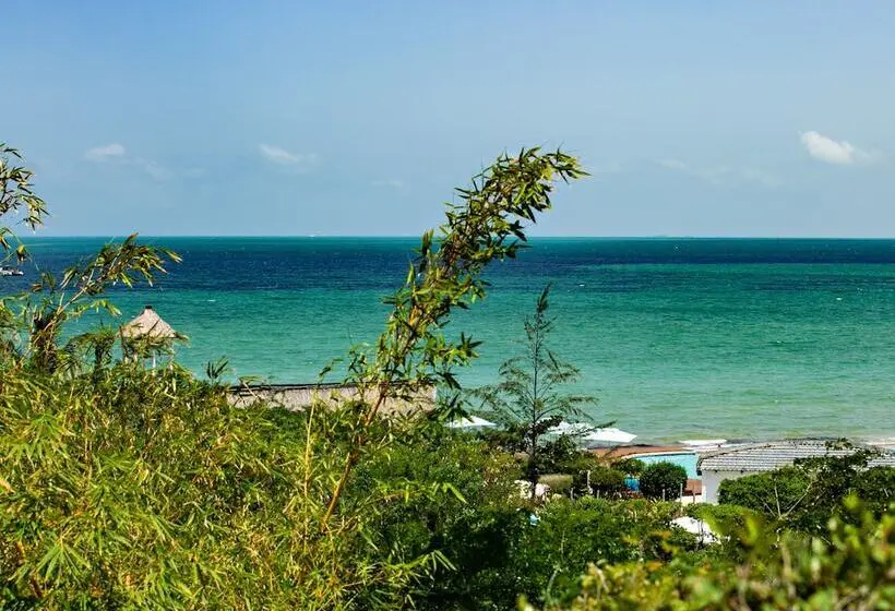 سوییت خانوادگی, Vilanculos Beach Lodge
