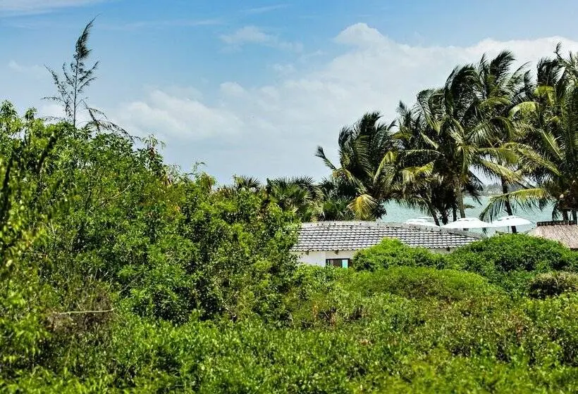سوییت خانوادگی, Vilanculos Beach Lodge