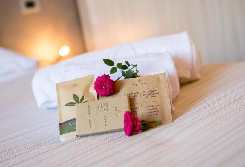 Номер Стандарт, Domus Il Palio