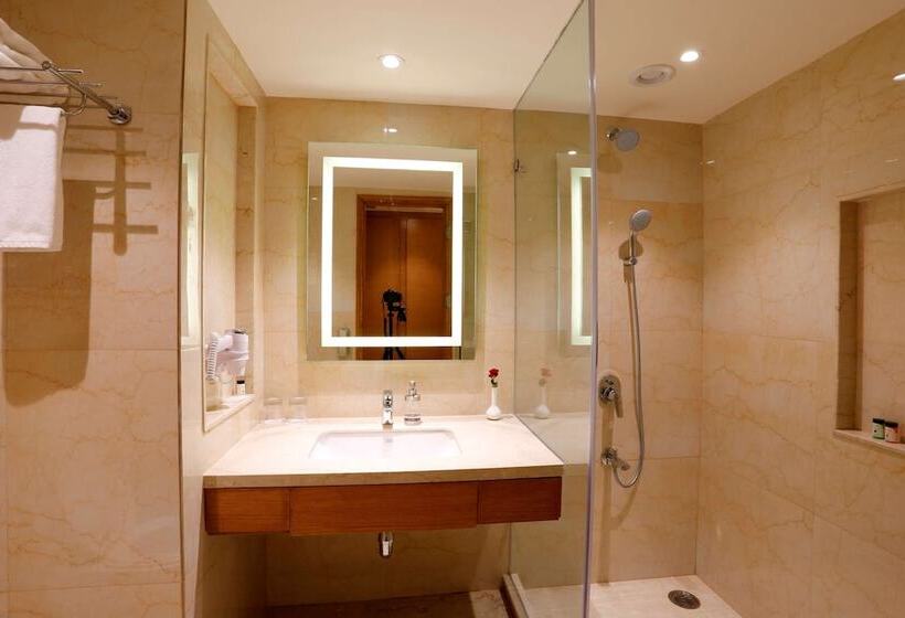 חדר סופריור, Nataraj Sarovar Portico