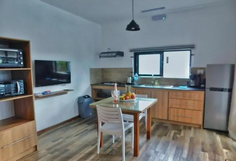استودیوی استاندارد, Coral Studio