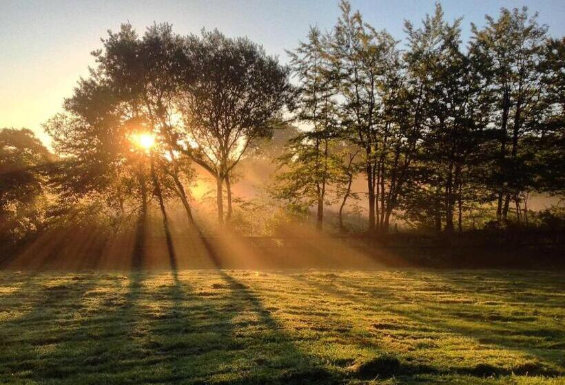 کابین, Holsworthy Holiday Cottages