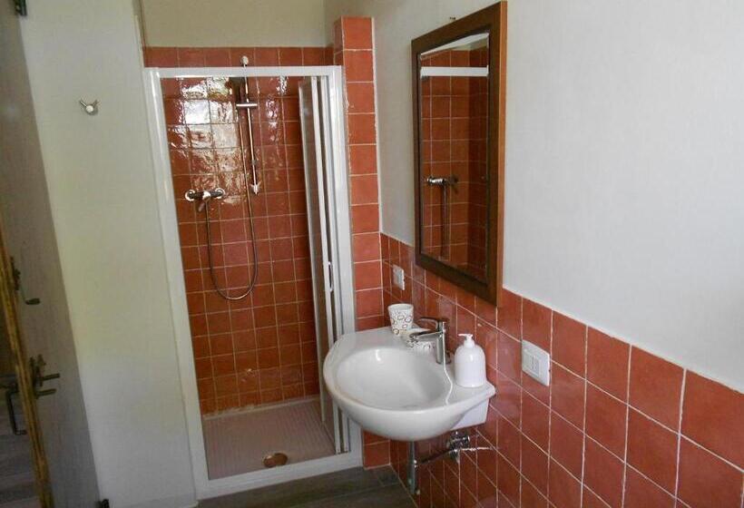 اتاق استاندارد, L Isola Che Non C Era