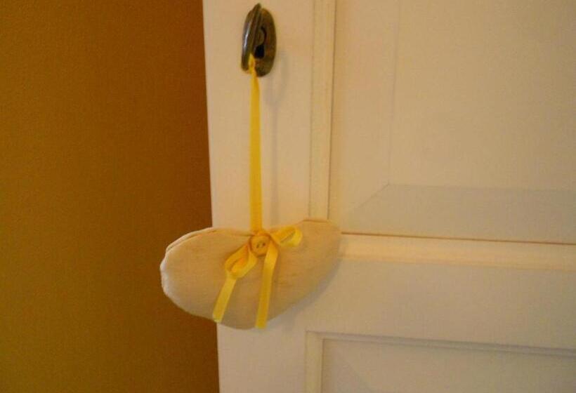 اتاق استاندارد, L Isola Che Non C Era