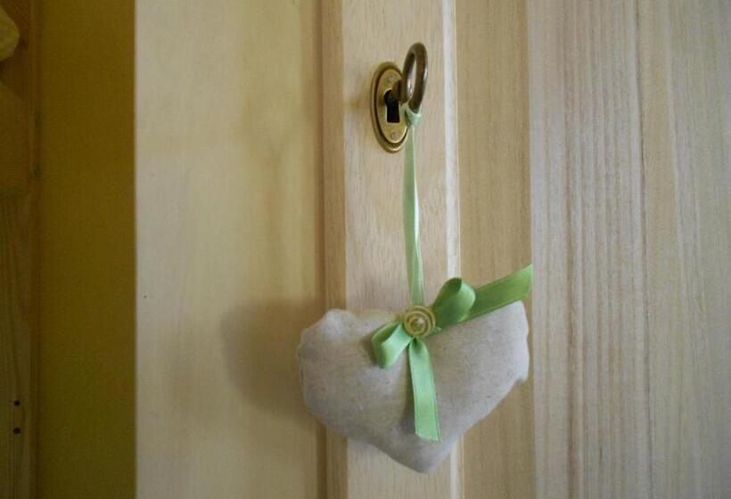 اتاق استاندارد چهار تخته, L Isola Che Non C Era