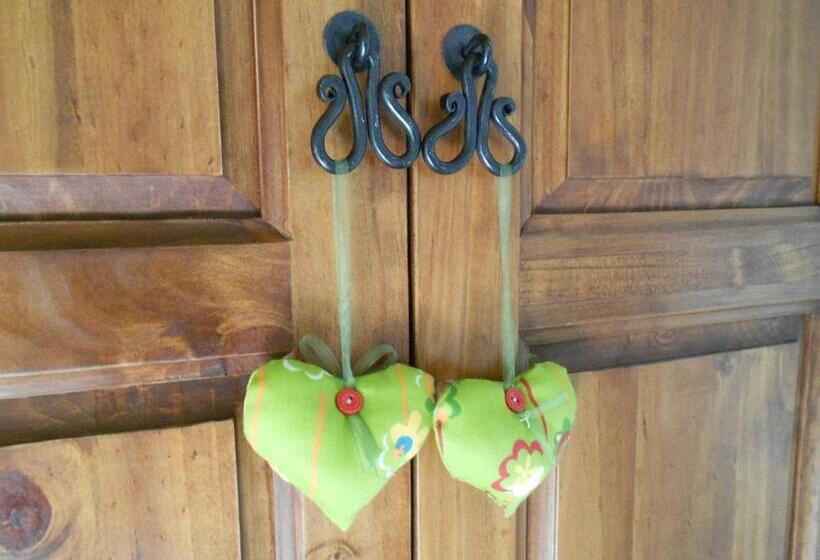 اتاق استاندارد, L Isola Che Non C Era