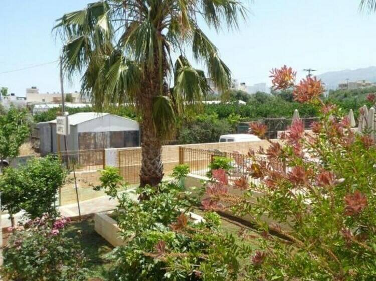 스탠다드 스튜디오, Newcastle Studios