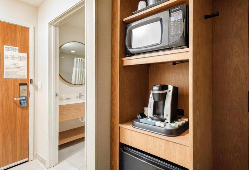 Стандартный Номер Кровать Кинг, Fairfield Inn & Suites By Marriott Salina