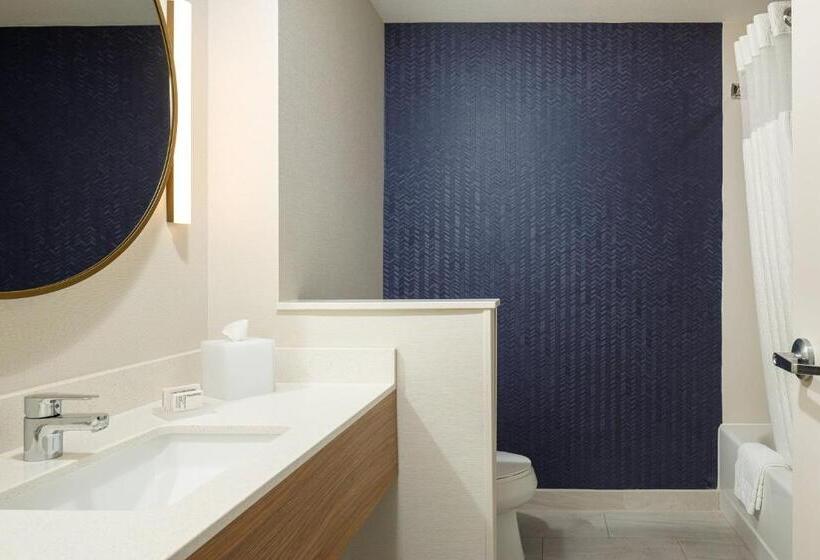 Номер Стандарт, Fairfield Inn & Suites By Marriott Salina